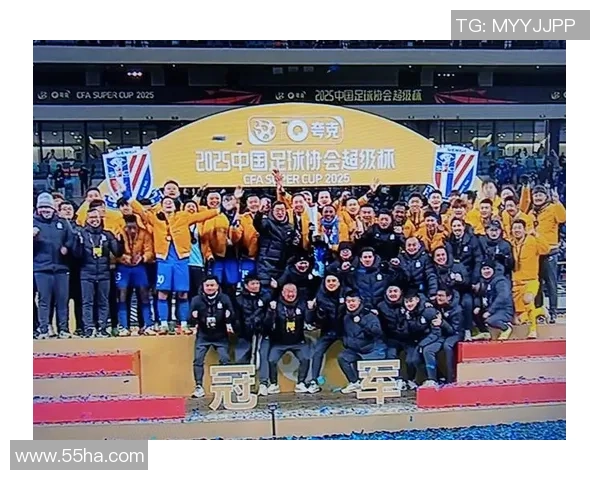 南京足球队在冠军赛中的精彩表现与状态分析 南京足球队在冠军赛中的精彩表现与状态分析