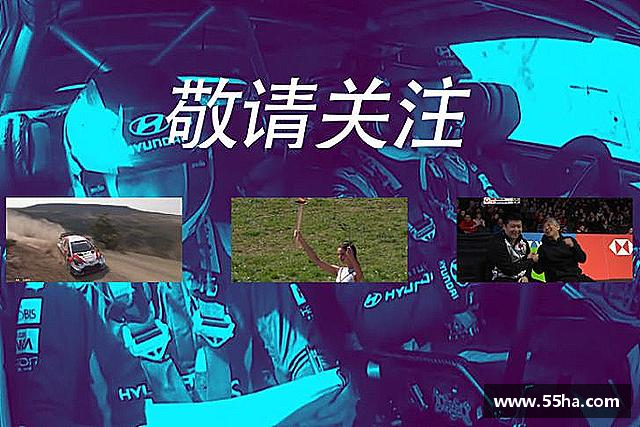 认识333体育